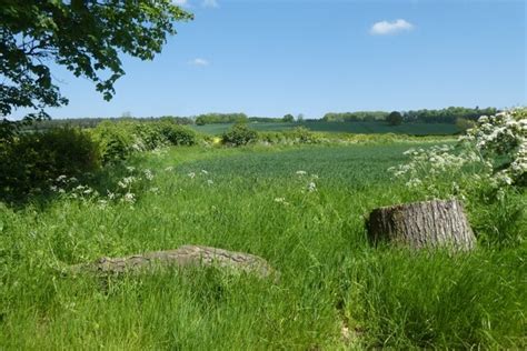 Field East Of Foston Ds Pugh Geograph Britain And Ireland