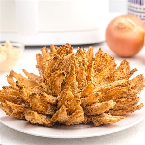 Bloomin Onion In Air Fryer Recipe Colby Blog Fun Delicious Recipes