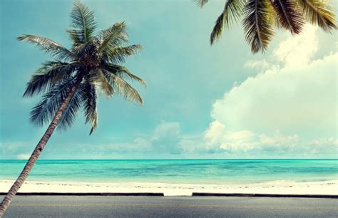 The Game Of Thrones Star's Lavish Fortune