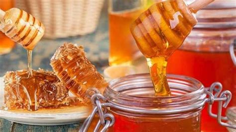 Features and prices of Turkish honey and import methods || Tebadul