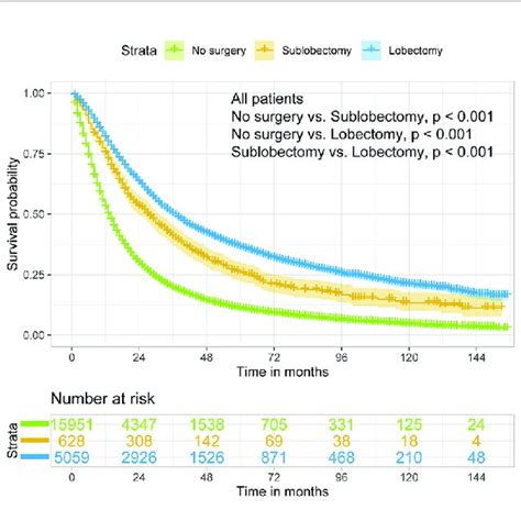 Kaplan Meier Estimates Of Os For Stage Iiian2 Nsclc Patients Download Scientific Diagram