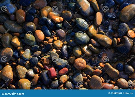 Colorful Pebbles On The Beach In The Morning Sunshine Stock Photo