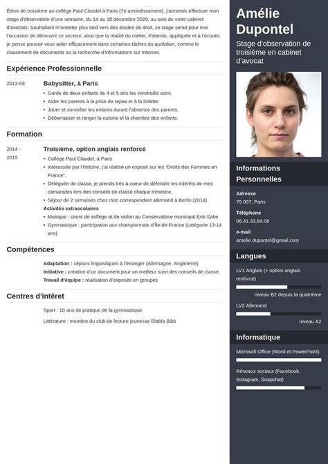 Faire Un Beau Cv Les Plus Beaux Exemples De Cv Artofit