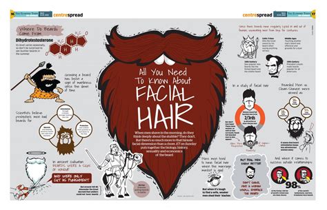 Facial Hair Infographic Infografica