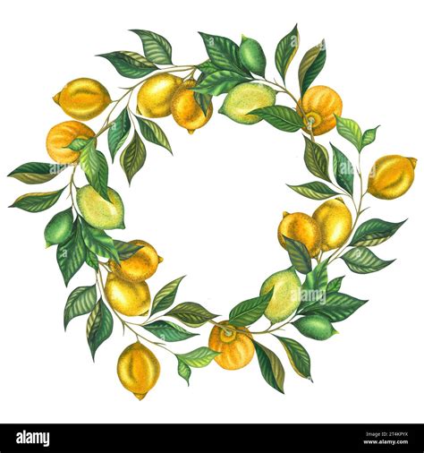 Watercolor Lemon Wreath With Leaves And Fruits Hand Painted Fresh