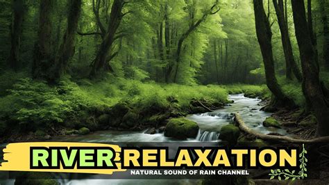 Riverbank Reverie Nature S Soothing River Sounds A Peaceful Haven