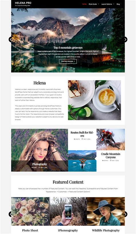 Helena Free Business WordPress Theme Freebie Supply