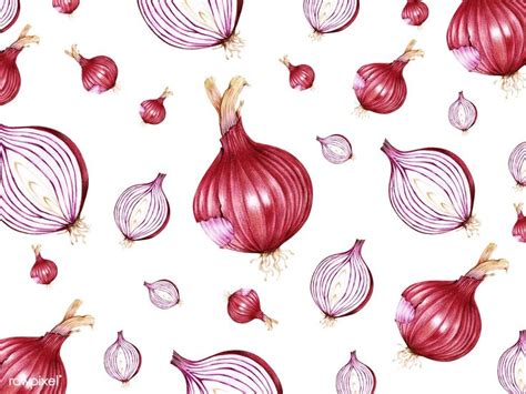 Hand drawn Red Onion Watercolor Illustration