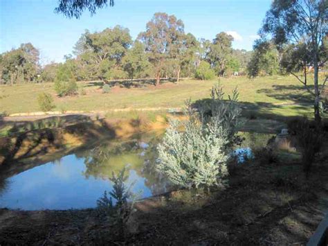 Tracks Trails And Coasts Near Melbourne Exploring The Warrandyte Common