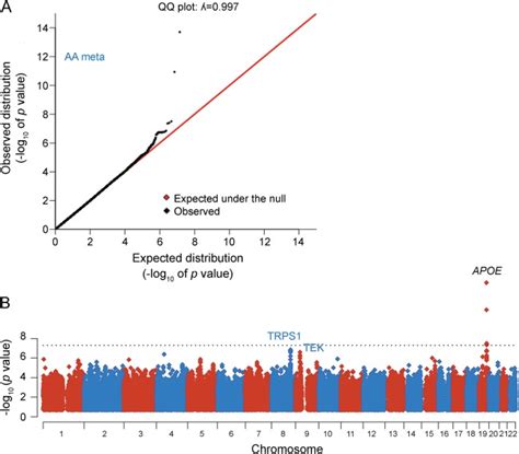 Genetic Architecture Of Age Related Cognitive Decline In African