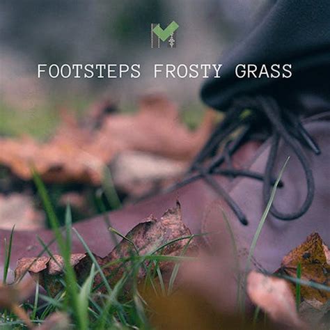 Footsteps Frosty Grass By Matching Sound Effects Sfx Artlist