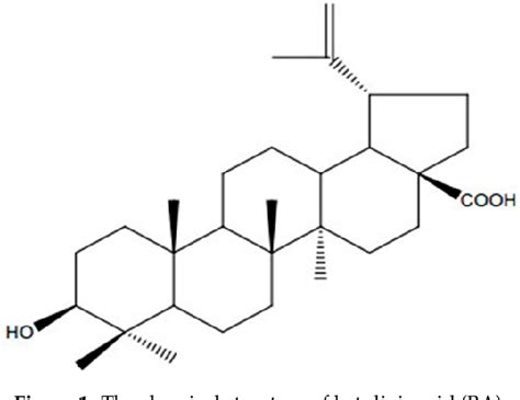 Figure From Protective Action Of Betulinic Acid On Cerebral Ischemia