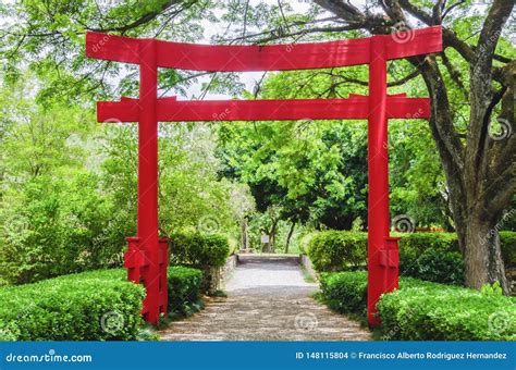 Beautiful Torii Gate In Japanese Garden Contracting With The Green Of