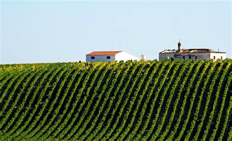 Alentejo wine region - 6toplists