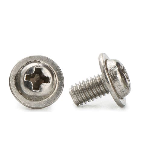 What is the role of the stainless steel washer head screws?