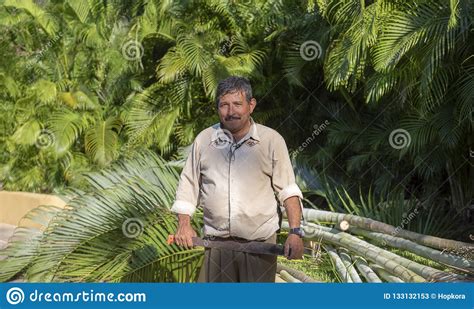 Homem Mexicano Feliz Sorrindo Considerável Amigável Que Guarda Um