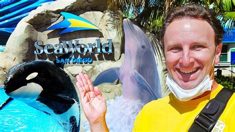 Sea World San Diego Tips 9 Things To Know In 2021 Youtube