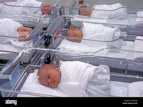 Babies in hospital nursery Stock Photo: 19243927 - Alamy