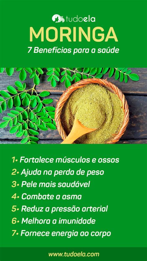 Conhe A Os Benef Cios Da Moringa Para A Sa De