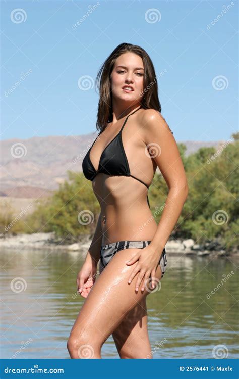 Reizvolle Frau Im Bikini Stockbild Bild Von Karosserie 2576441