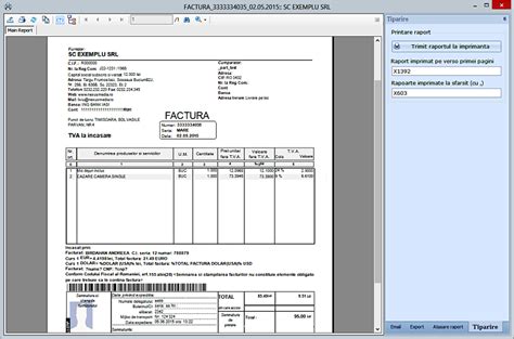 Nexus Erp Tiparire Raport Direct La Imprimanta Cu Posibilitate De