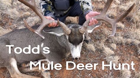 Late Season Mule Deer Hunt Rokstedi