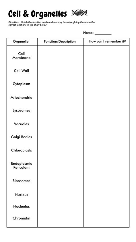 Organelle Worksheet Printable Word Searches