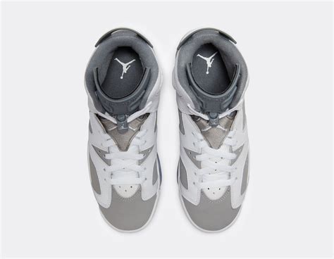 Jordan Air Jordan 6 Retro GS Cool Grey 384665-100