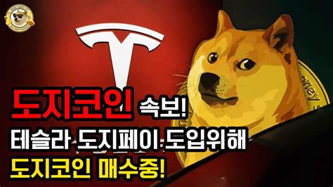 도지코인 속보 테슬라 도지페이 도입위해 도지코인 매수중 최소 7배 급등나옵니다 필수시청 Youtube