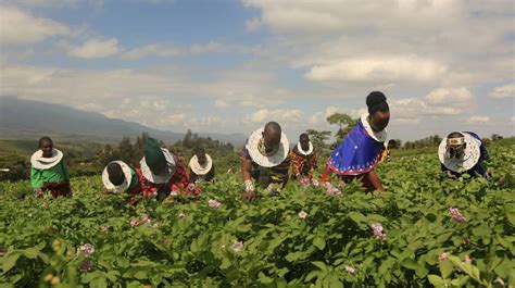 Do Women Have A Meaningful Role In Global Value Chains And Why Does This Matter