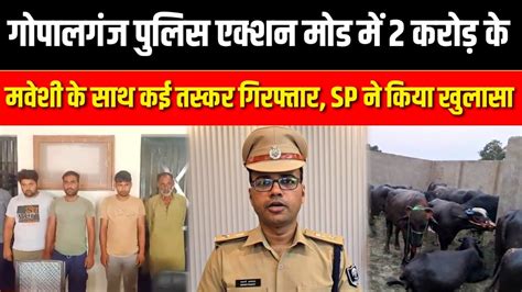 Gopalganj पुलिस एक्शन मोड में 2 करोड़ के मवेशी के साथ कई तस्कर गिरफ्तार Sp ने किया खुलासा