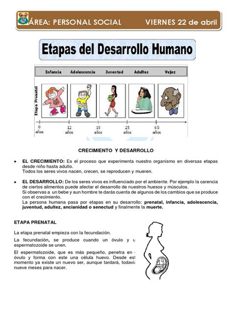 Clase De Personal Social Etapas De Nuestro Desarrollo Pdf Adultos Adolescencia