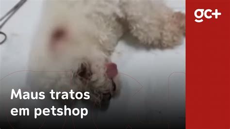 Advogado Rebate Tutora Que Acusa Petshop De Decepar Orelhas De Cachorro