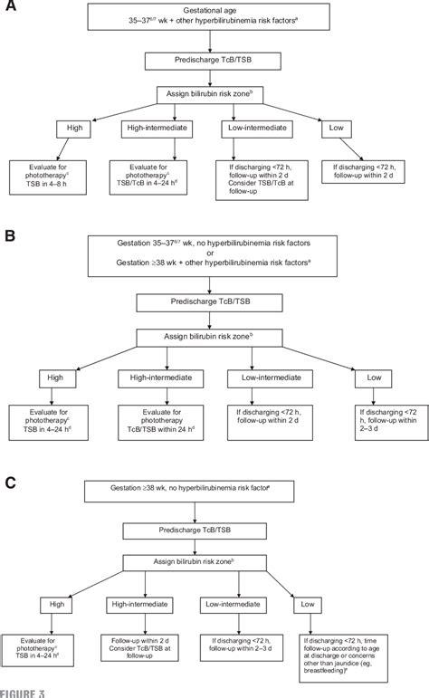 Aap Guidelines Hyperbilirubinemia Shop