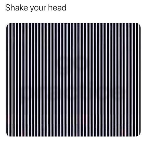 Shake your head : r/lingling40hrs