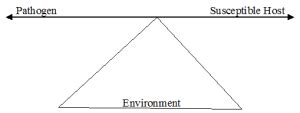 THE TRIANGLE OF EPIDEMIOLOGY (Epidemiological triad) - #1 Microbiology ...