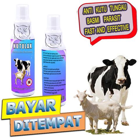 Jual Kutulax Spray Obat Anti Kutu Sapi Kerbau Domba Basmi Parasit