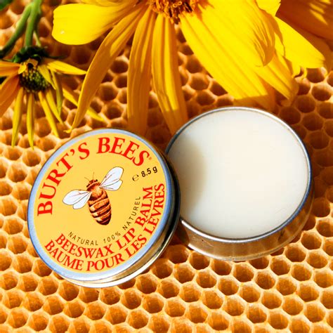 Burt S Bees Beeswax Lip Balm In A Tin With Menthol