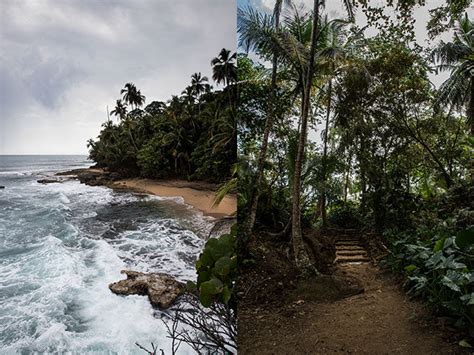 GANDOCA-MANZANILLO WILDLIFE REFUGE – Café Britt