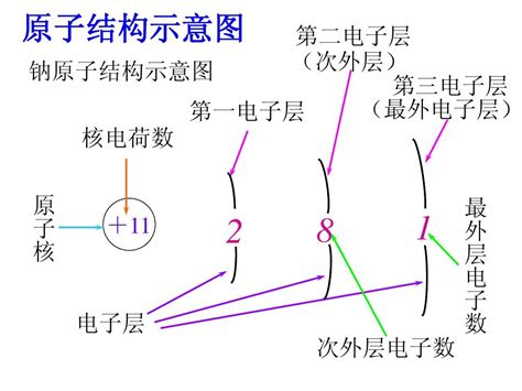 1 1 1原子核外电子排布word文档在线阅读与下载无忧文档