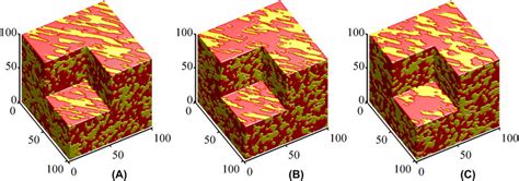 Colour Online Ex3 A The Original Anisotropic Structure With Vf Of