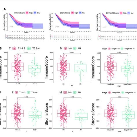 The Relationship Between Immune And Stromal Scores And Clinical