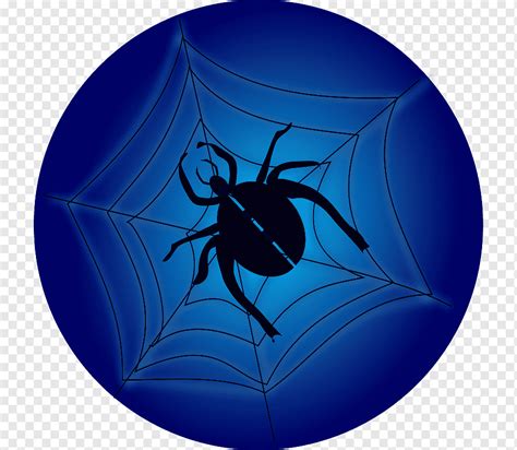 Spider Web Southern Black Widow Spider Web Icon Blue Sphere