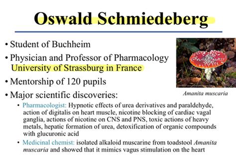 Lecture 1 Ligand Receptor Interactions 01 17 Flashcards Quizlet