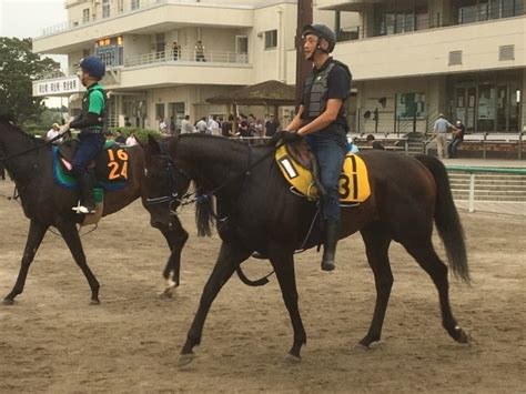 【アイビスsd】芝レース初参戦が千直 競馬ニュースなら競馬のおはなし