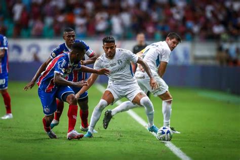 Grêmio tem vantagem contra o Bahia no histórico e domina nos confrontos