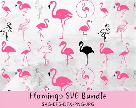 Flamingo Svg Bundle Pink Flamingo SVG Flamingo Clipart For Tropical