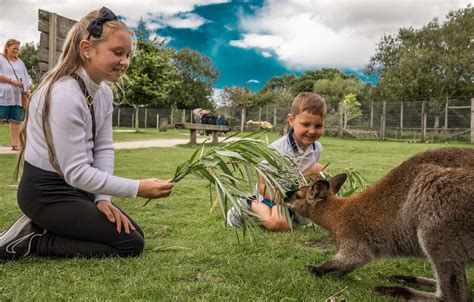 Peak Wildlife Park