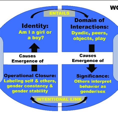 Model Of Embodied Development Of Gendersex Download Scientific