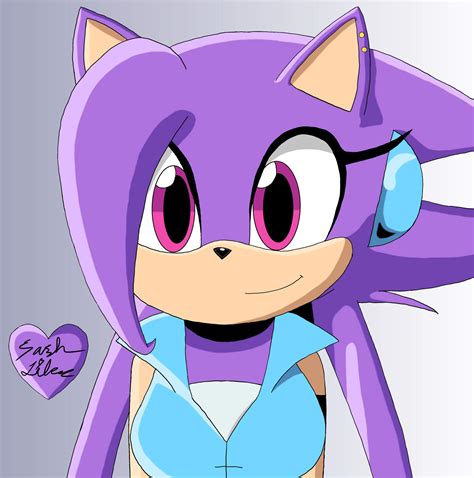 Sash Lilac Hedgehog Form Sonic The Hedgehog Amino